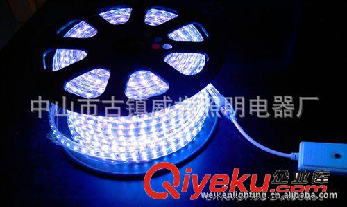 LED贴片灯带/3528 60粒 220V/防水灯带/高亮度LED灯带