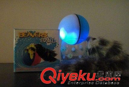 新奇特玩具 电动海狸球 精灵鼠 海狸球 水老鼠 逗鼠球带灯光