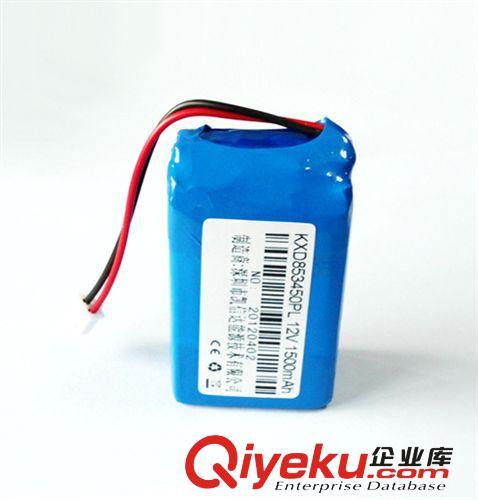 聚合物锂电池 12V1500mAh  配充电器12.6V1A