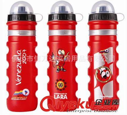 【{zx1}款式定做】塑料环保实用型600ML，广告运动水壶