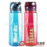 800ml promotion gifts plastic bottle  water bottle