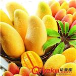提取物厂家非洲芒果籽提取物 芒果蛋白 可商检