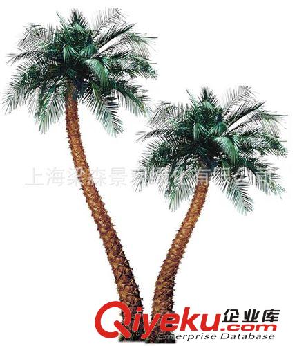 仿真棕榈树 大王椰子树 中东海藻树 棕榈树 榕树