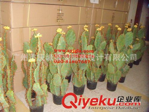 全网{zd1}仿真仙人掌热带沙漠植物开花1m高 各类仿真植物批发