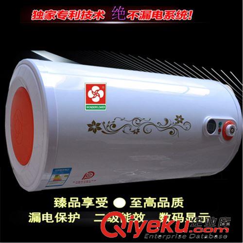 批发zp广州樱花电热水器圆桶数码储水式电热水器双胆速热热水器