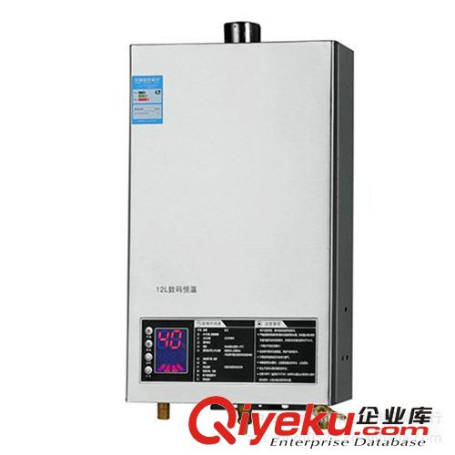 厂家供应批发采购 家用强排式燃气热水器10L广州樱花 订单OEM贴牌