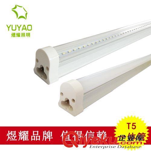 LED日光灯管 T5LED日光灯1.2米18W 中山生产厂家 深圳销售
