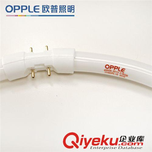 opple欧普照明 YH6O-T5 IEC环形节能灯管60W 一件批发 xjb高