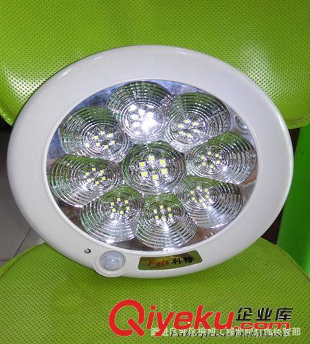 LED消防应急吸顶灯 3W 5W 带人体感应  声光控