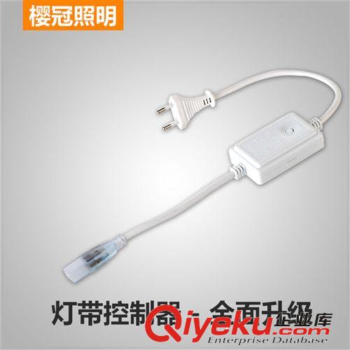 220v LED变色灯带3528/5050RGB通用七彩RGB插头线控闪光器控制器