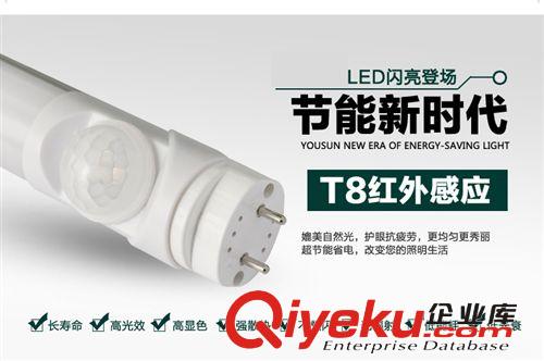 T8led日光灯管 人体感应 红外感应 18W 1.2米 高亮灯管 T8厂家