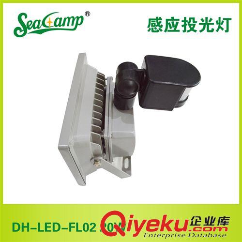 【高品质】供应大海照明感应投光灯DH-LED-FL02 20W厂家批发
