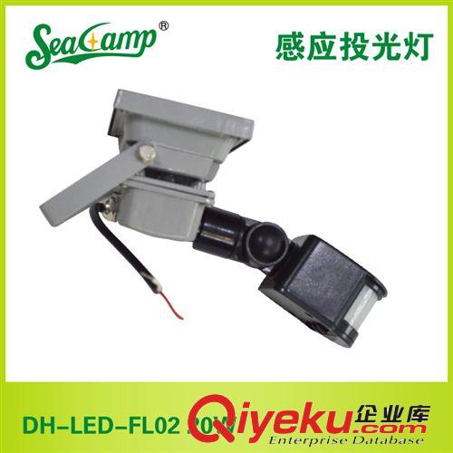【高品质】供应大海照明感应投光灯DH-LED-FL02 20W厂家批发