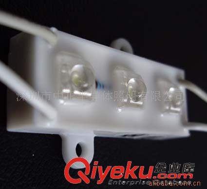 供应LED模组 食人鱼模组 单色模组 高亮模组 防水模组 模组