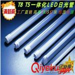 T8  T5 9~22W led一体化日光管  led日光管 日光灯  led日光灯