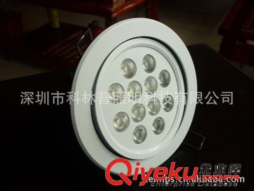 厂家定制压铸一体 炫白 大功率LED天花灯12W,可调角度.