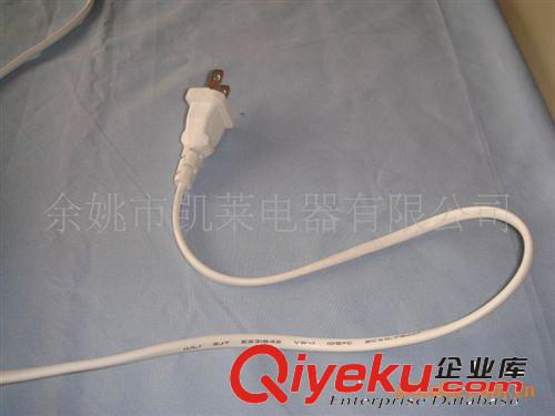 【精品推荐】国标电源插头线PBB-6/中国二芯电源插头供应