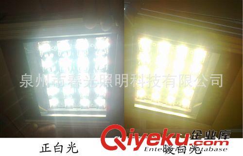 【福建路灯厂家】物美价廉 低价位 高光效 太阳能LED道路照明灯具