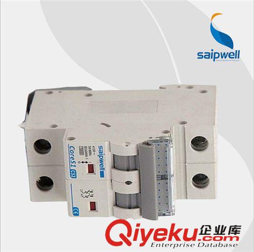 生产小型低压塑壳漏电断路器SPF1-2-63C32 低价真情回馈 不容错过