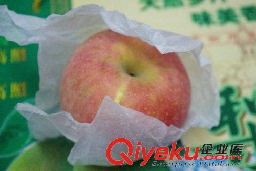 拷贝纸 梨、苹果、葡萄等水果包装纸，出口蔬菜、水果包装纸、防潮包装纸
