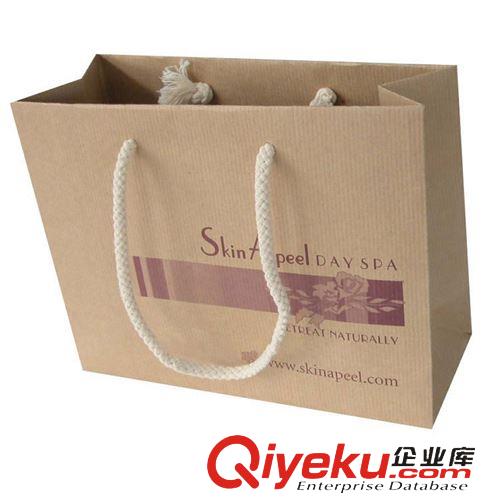礼品袋 【物美价优】厂家专业供应各种样式yz精美礼品袋  纸质礼品袋