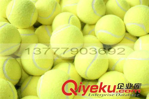 网球 训练网球 陪练网球 带绳网球 绳子网球 现货批发网球