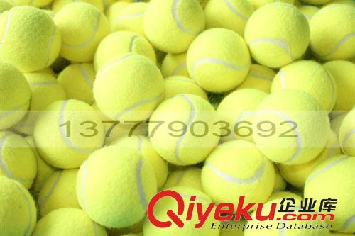 网球 训练网球 陪练网球 带绳网球 绳子网球 现货批发网球