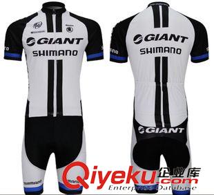 设计新款 新款捷安特白色短袖短裤骑行服套装定制 GIANT户外自行车装备