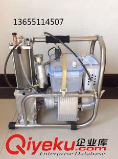 未分类 环球4代6代高压电动水冷风冷打气泵 空气充气机高压气瓶30  40mpa