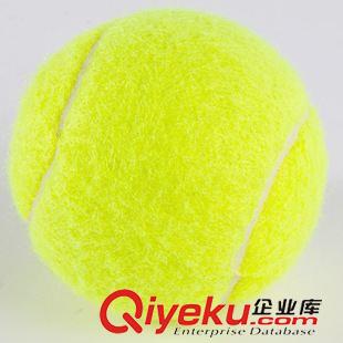 其它配件 系列 【训练用网球】LYDOOzp训练专用网球 弹性{jj0}（不带线网球）