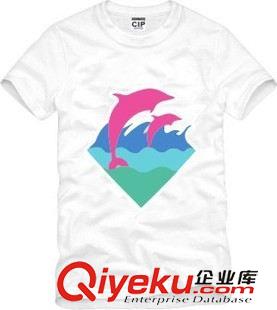 情侣短袖T恤 男女pink dolphin 南海岸 情侣款 同款海豚潮男嘻哈短袖T恤衫街头