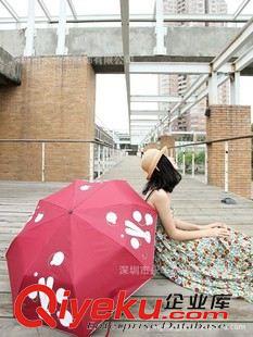 变色雨伞 厂家定做 各种变色雨伞 雨水变色 见光变色雨伞