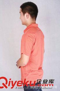 耐穿型工作服 广州服装厂家加工夏装有领短袖T恤橙色文化衫现货供应