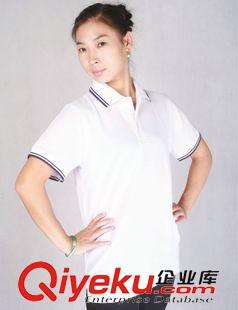 特色翻领系列 广州服装厂 间色纯棉短袖广告T恤衫yz工作服现货烫印LOGO广告