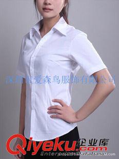 女士衬衫 深圳职业装工作服衬衫，广州女士修身长袖衬衫，沙井长袖衬衫定做