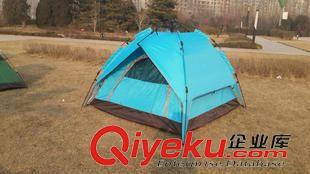帐篷 户外可折叠自动帐篷野营帐篷 3-4人露营自动帐篷沙滩实用帐篷批发