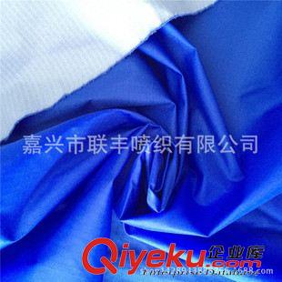 服装面料 厂家热销 210T尼丝纺三分格 PA白涂层 可用在滑雪服、雨衣面料