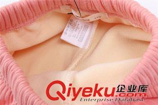 9月新品 外贸童装批发 韩版纯棉卡通兔童裤 女童暖倍儿绒打底裤 秋冬新款