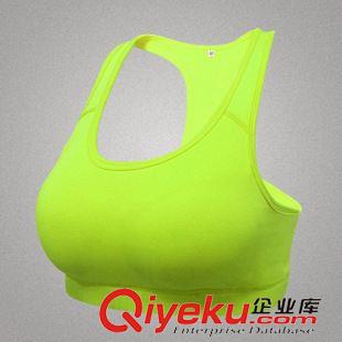 女性健身胸衣 厂家批发4级高度专业跑步防震运动文胸 无钢圈运动文胸