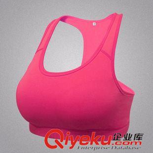 女性健身胸衣 厂家批发4级高度专业跑步防震运动文胸 无钢圈运动文胸