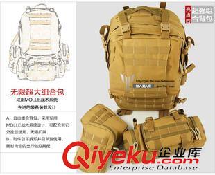 其它用具 登山背包 双肩 男女款50L 战术攻击背包组合包旅行旅游包