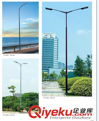 LED路灯 双头9到12米路灯配上海亚明钠灯，LED光源