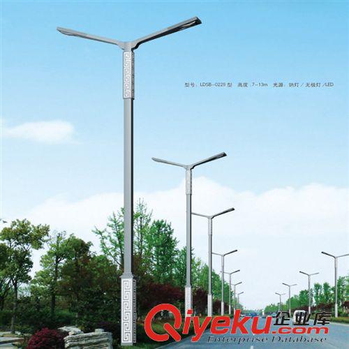 道路照明灯 销售yz道路照明灯双臂灯 大量供应城市路灯灯具 10米路灯