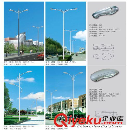 道路照明灯 新品 厂家专业生产yz双臂道路灯 节能灯具 可来图定制