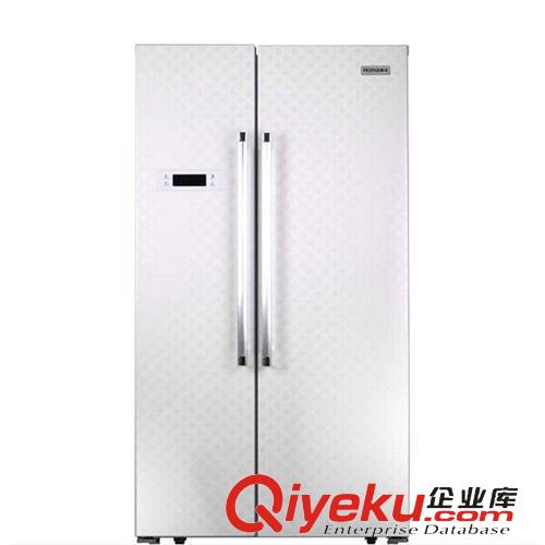对开门冰箱 奥马对开门BCD-520WKCN   无霜风冷   电脑控温   五种模式切换