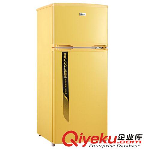 双门冰箱 厂家直销奥马BCD-118A5双门冰箱  生活家用电器 品牌冰箱批发代理