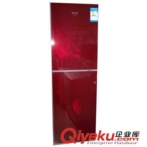双门冰箱 厂家供应品牌冰箱 奥马BCD-225ECA双门冰箱 家用电器 芙蓉红冰箱