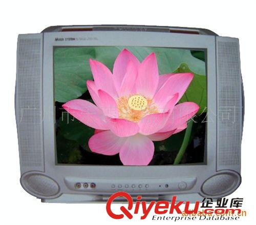 CRT TV 广东省地区厂家供应乐菱直销无辐射 高清晰CRT TV