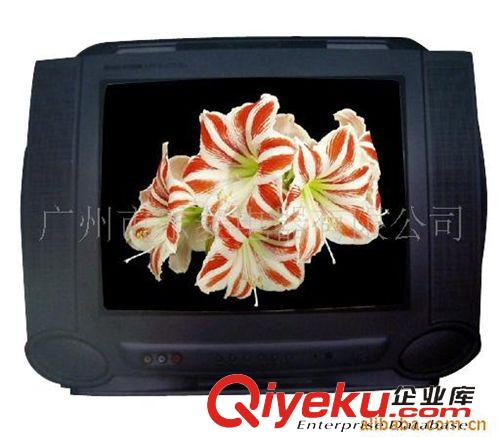 CRT TV 广东省地区供应乐菱厂家直销多种高清CRT TV