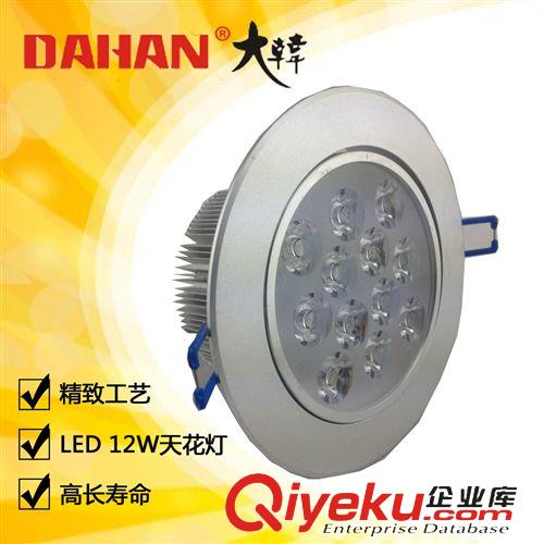 LED系列  12WLED天花灯 LED投射灯 室内照明灯具 led照明 节能 厂家直销